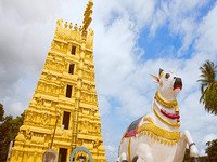 mallikarjuna-temple-srisailam (1).jpg